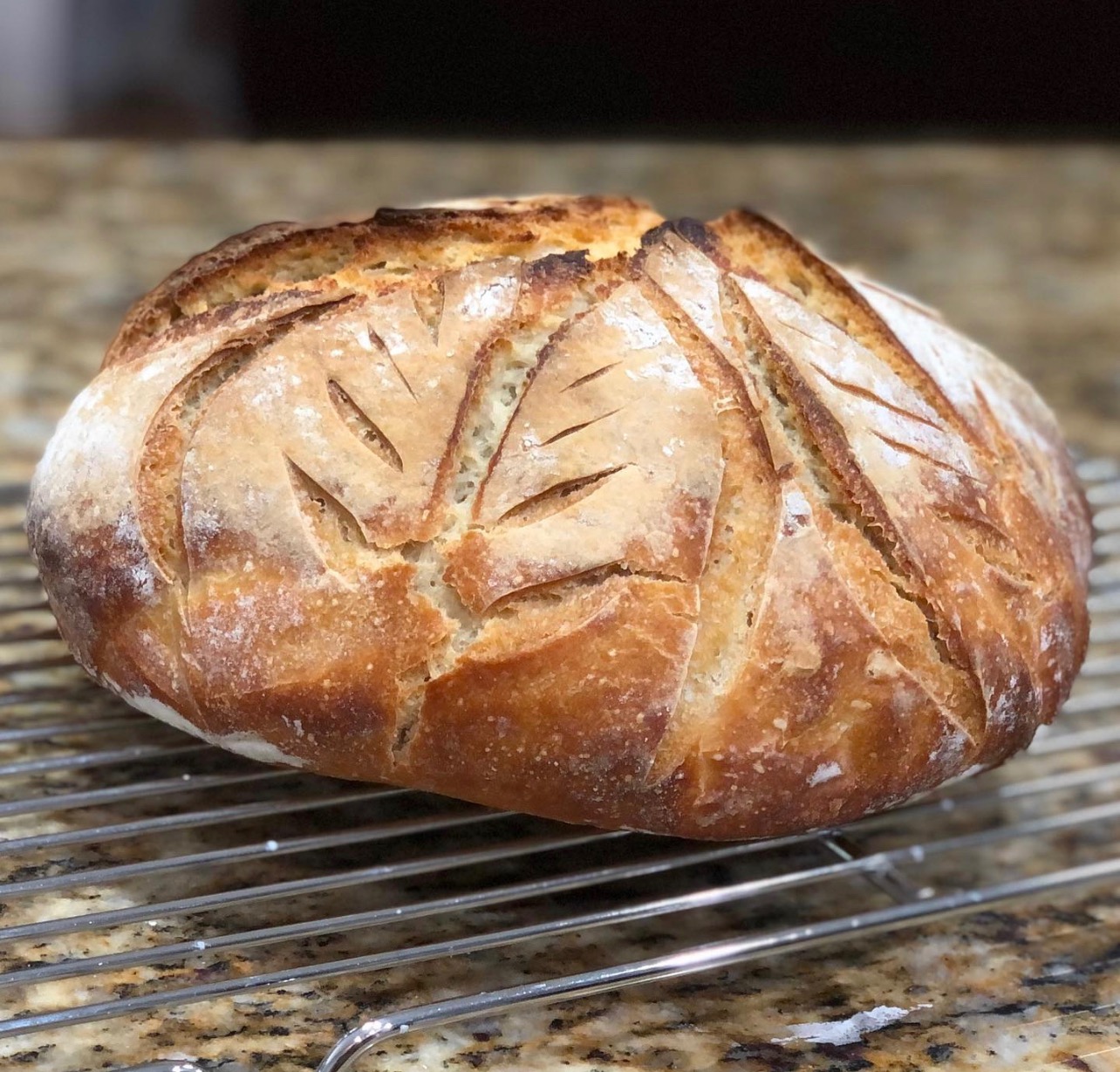Easy Dutch oven sourdough bread for beginners - Sprouting Wheel, Recipe